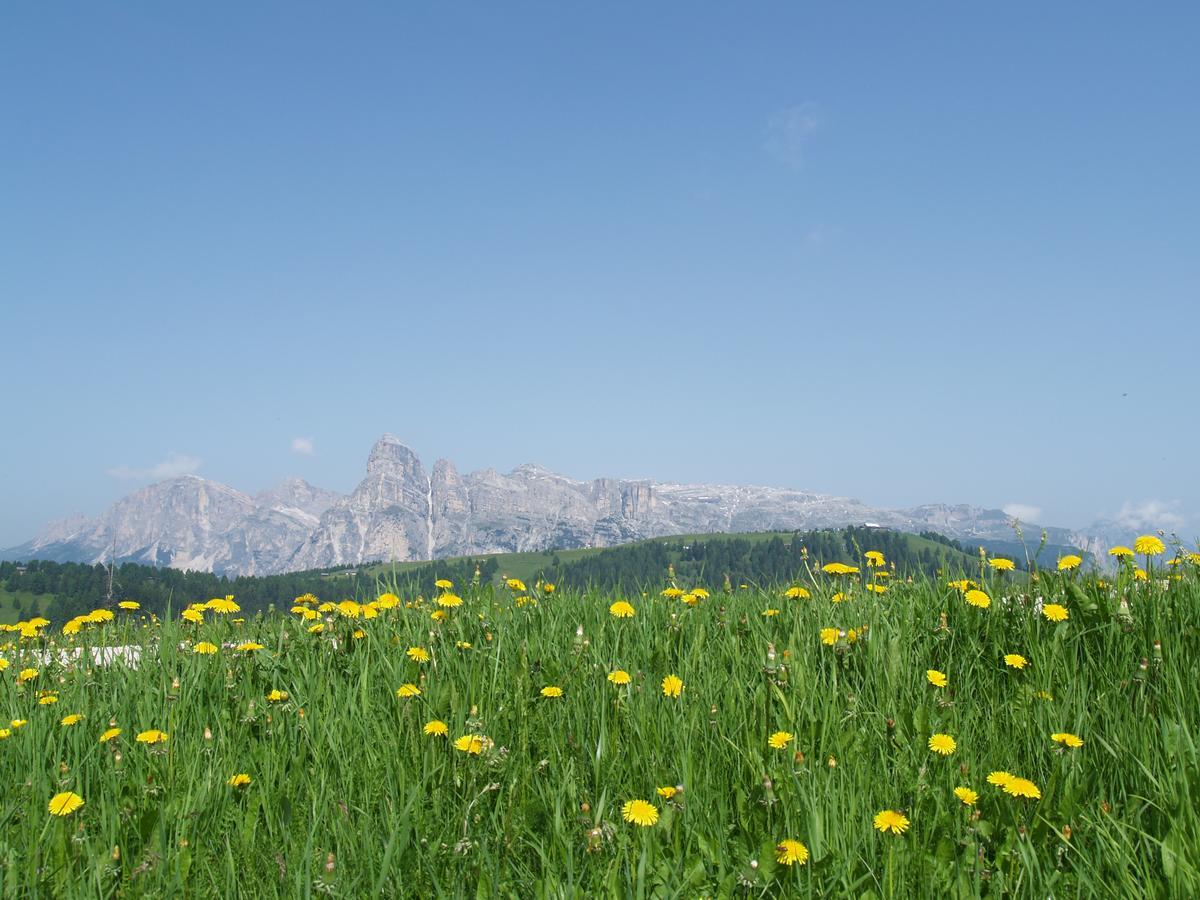 Residence Vajolet San Cassiano מראה חיצוני תמונה